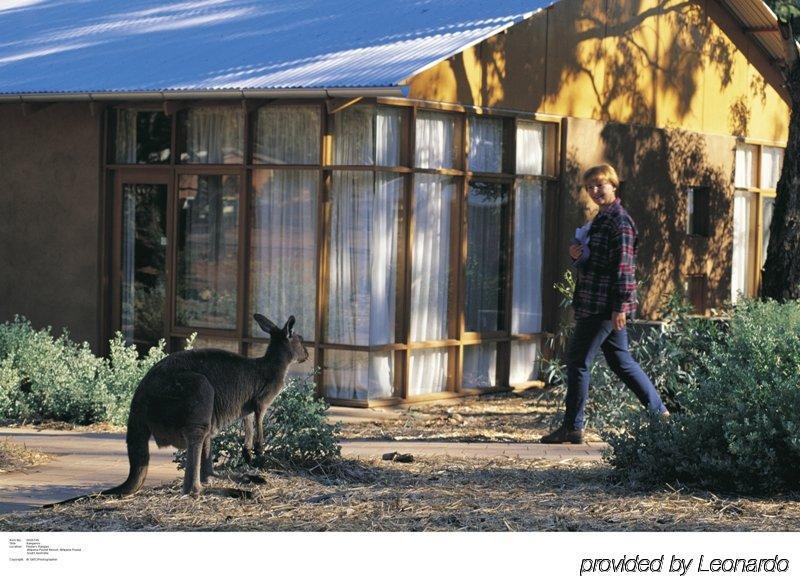 Wilpena Pound Resort Ikara-Flinders Ranges National Park Exterior photo